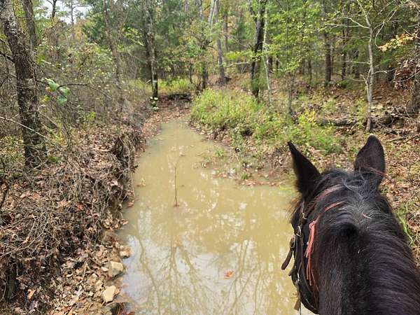 8 Acres of Land for Sale in Talihina, Oklahoma