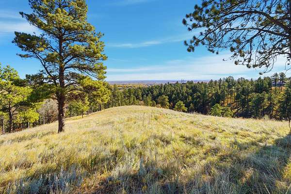 19 Acres of Land for Sale in Rapid City, South Dakota