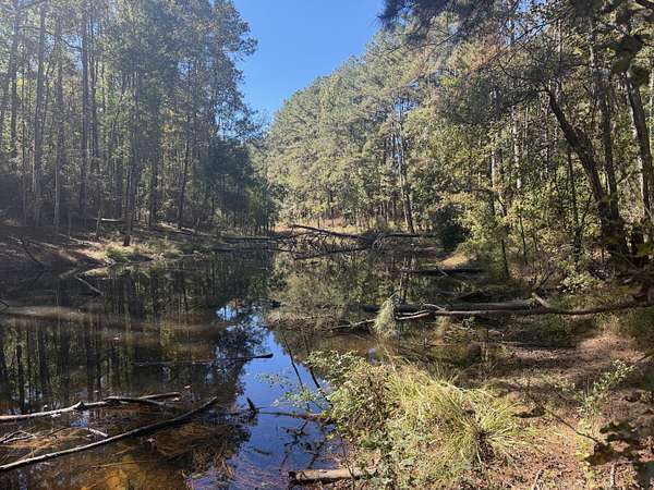 Residential Land for Sale in Collins, Mississippi