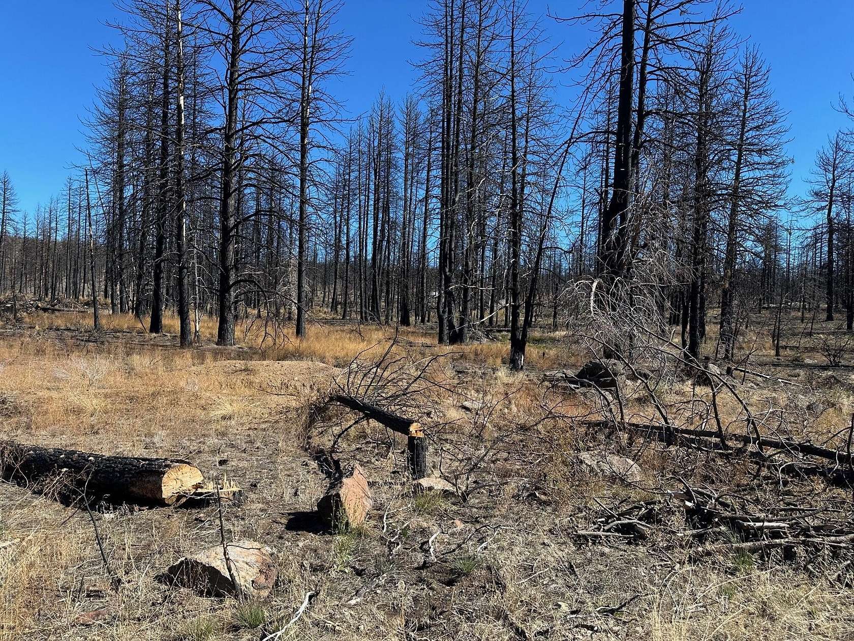 2.68 Acres of Residential Land for Sale in Bonanza, Oregon