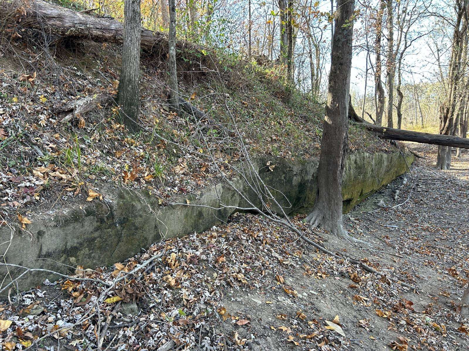 80 Acres of Recreational Land & Farm for Sale in Fairfield, Illinois