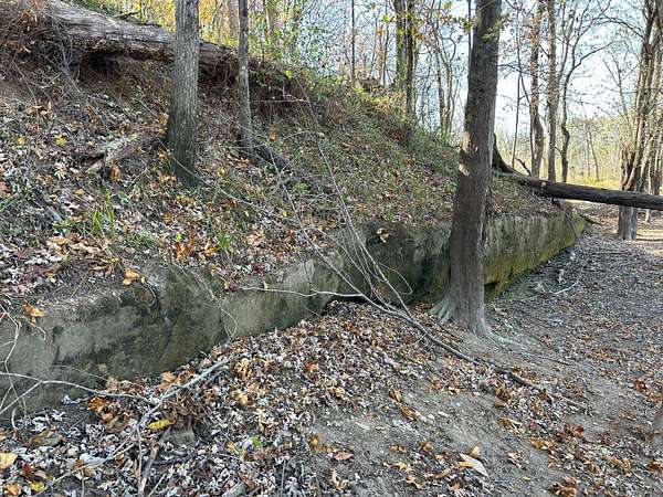 80 Acres of Recreational Land & Farm for Sale in Fairfield, Illinois