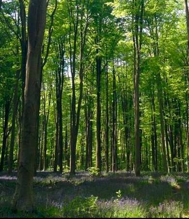 1.84 Acres of Residential Land for Sale in Easton, Massachusetts