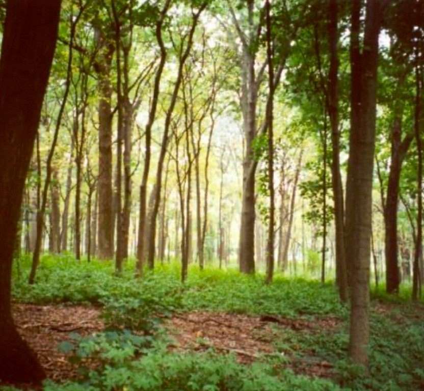 4 Acres of Residential Land for Sale in Easton, Massachusetts