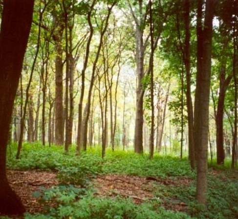 4 Acres of Residential Land for Sale in Easton, Massachusetts