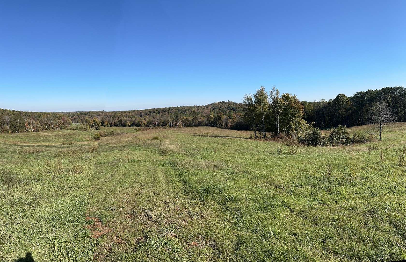 63.7 Acres of Agricultural Land for Sale in Decaturville, Tennessee