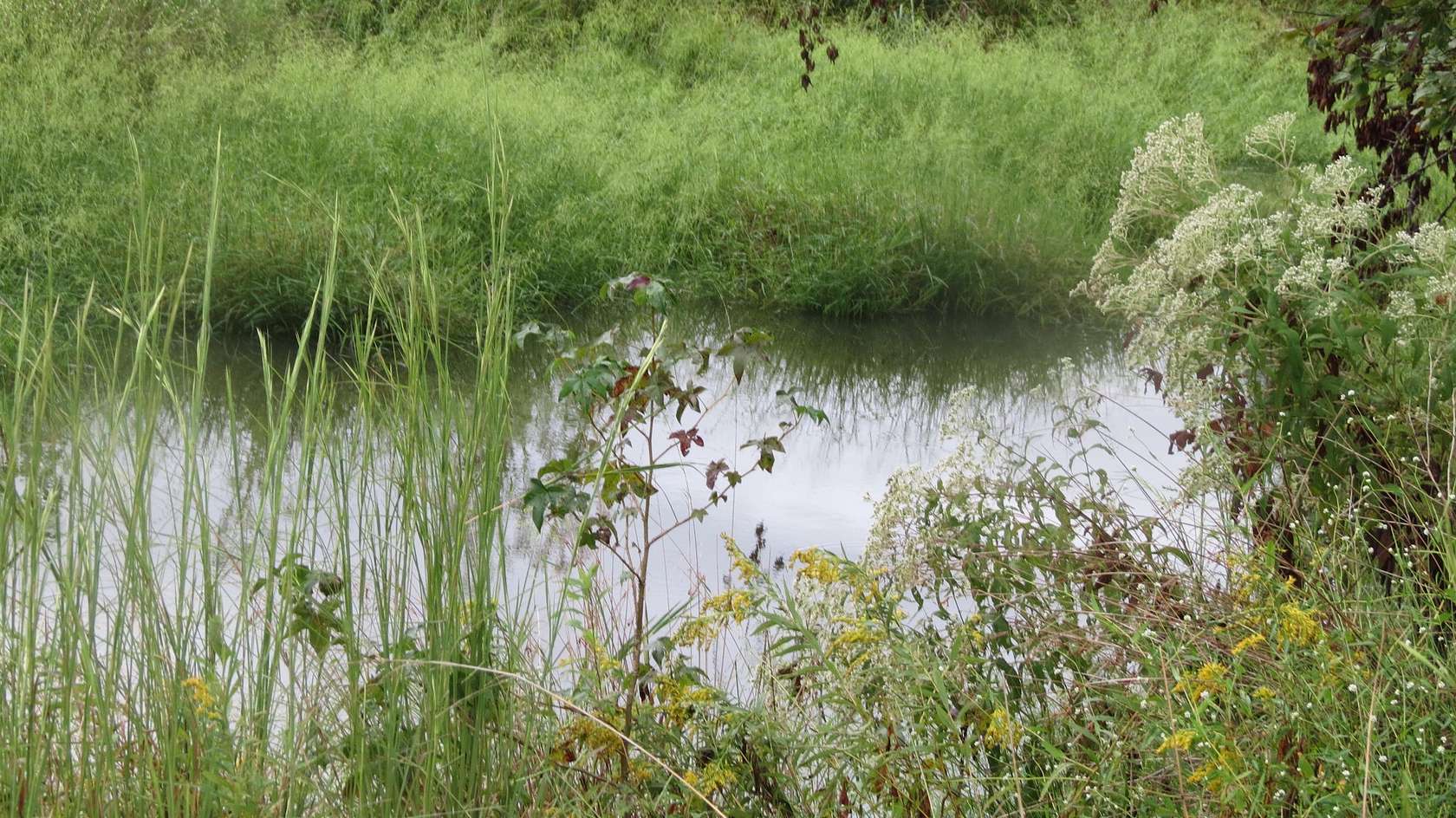 63.7 Acres of Agricultural Land for Sale in Decaturville, Tennessee