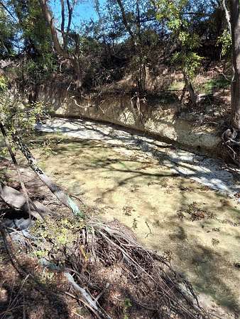 59.7 Acres of Agricultural Land for Sale in Bynum, Texas