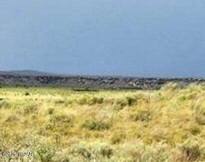 1 Acre of Residential Land for Sale in Sanders, Arizona