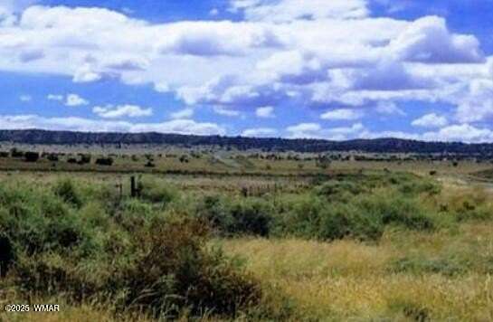 1 Acre of Residential Land for Sale in Sanders, Arizona