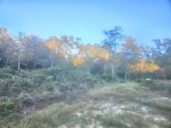 0.6 Acres of Residential Land for Sale in Lumberton, Texas