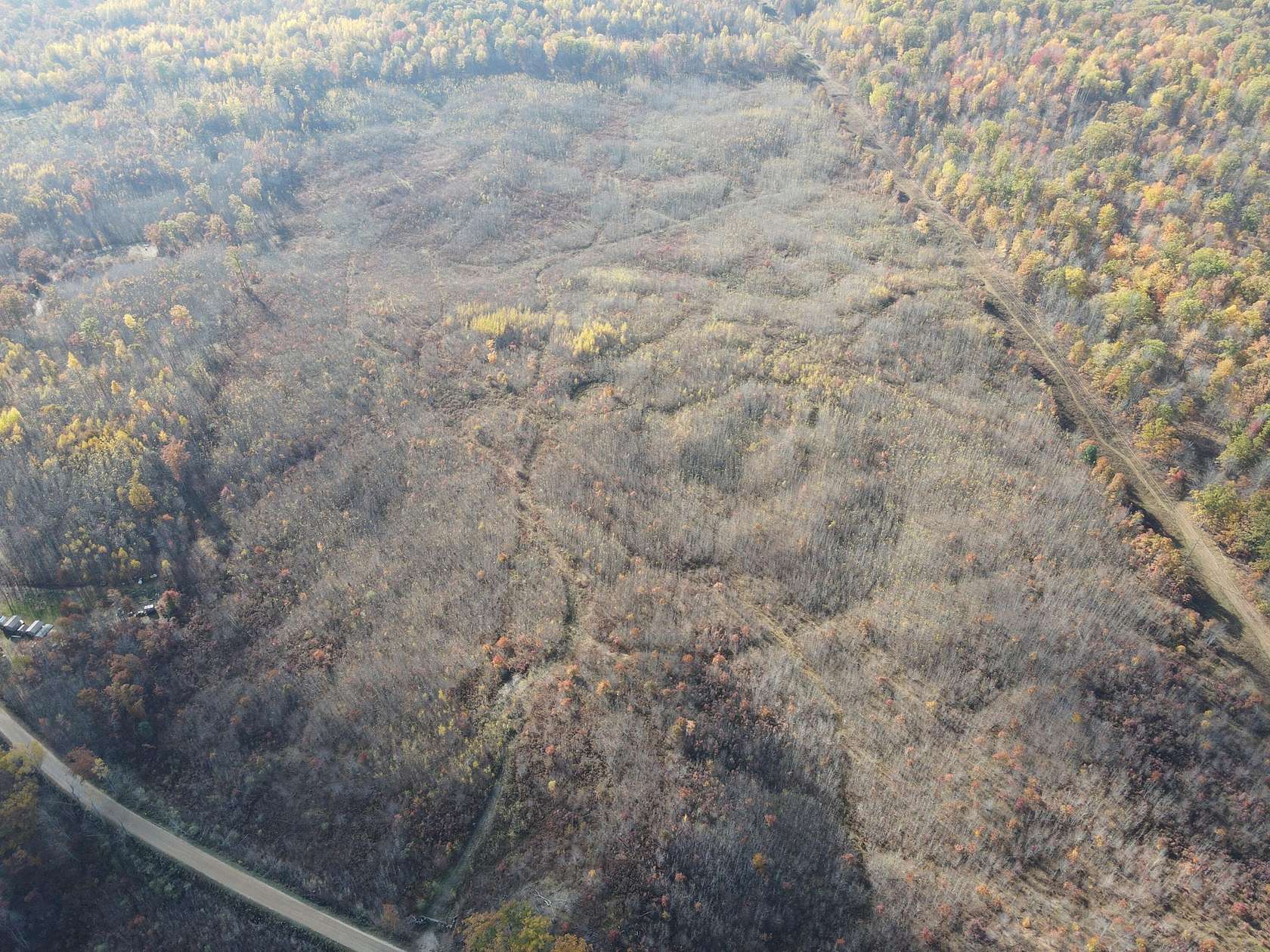 80 Acres of Recreational Land for Sale in Harrison, Michigan