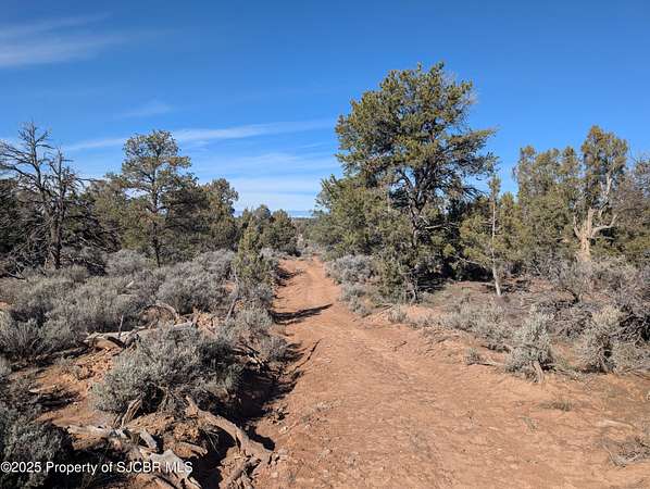 40 Acres of Recreational Land for Sale in Navajo Dam, New Mexico