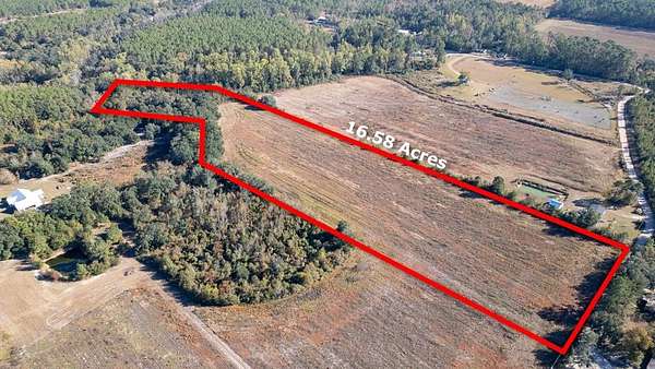 16.6 Acres of Land for Sale in Baxley, Georgia