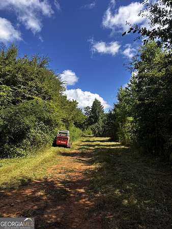 14.5 Acres of Land for Sale in Cedartown, Georgia