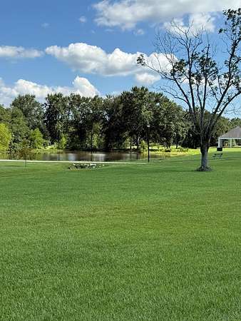 0.65 Acres of Residential Land for Sale in Carriere, Mississippi