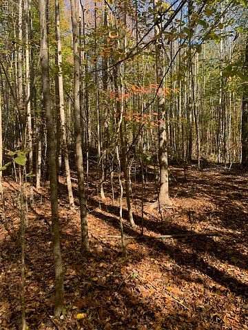 17.3 Acres of Land for Sale in Gloucester, Virginia
