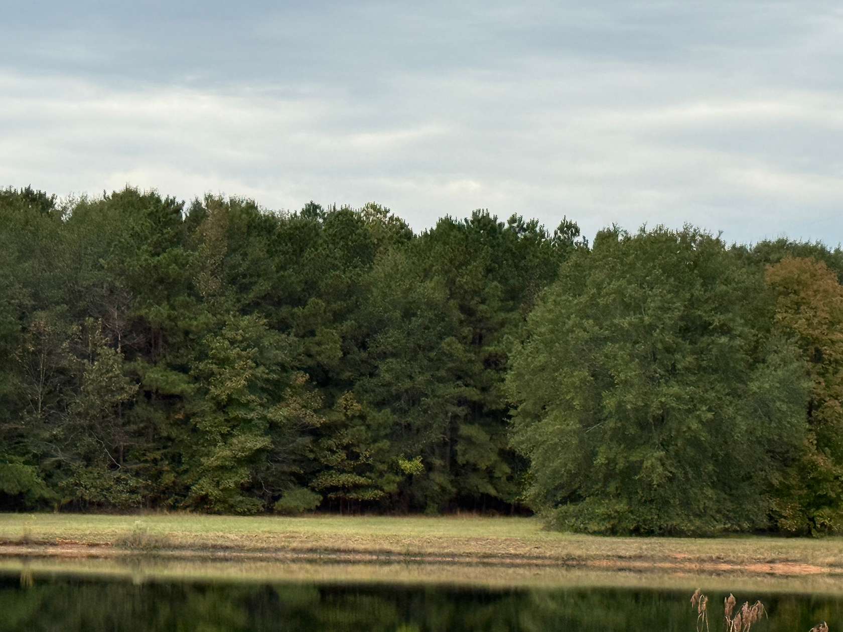 54 Acres of Recreational Land for Sale in Greenwood, Louisiana