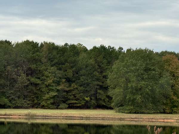 54 Acres of Recreational Land for Sale in Greenwood, Louisiana