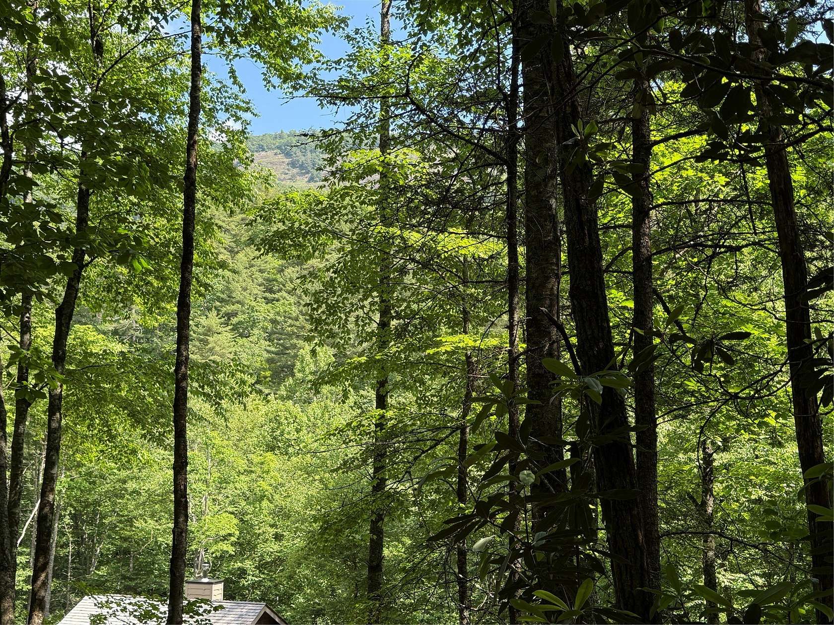 1.45 Acres of Residential Land for Sale in Cashiers, North Carolina