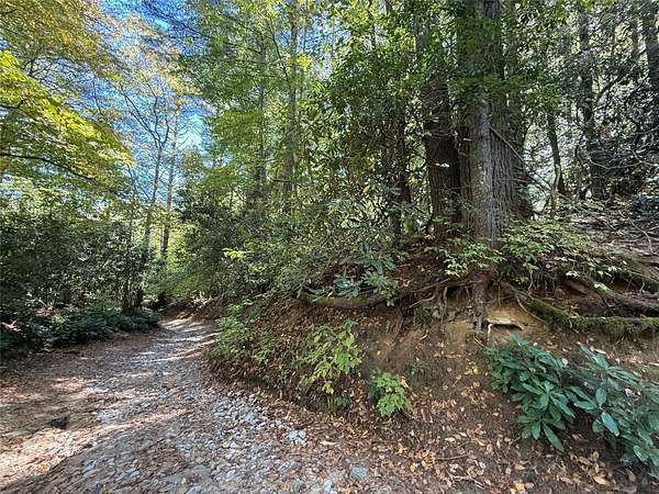 1.45 Acres of Land for Sale in Cashiers, North Carolina