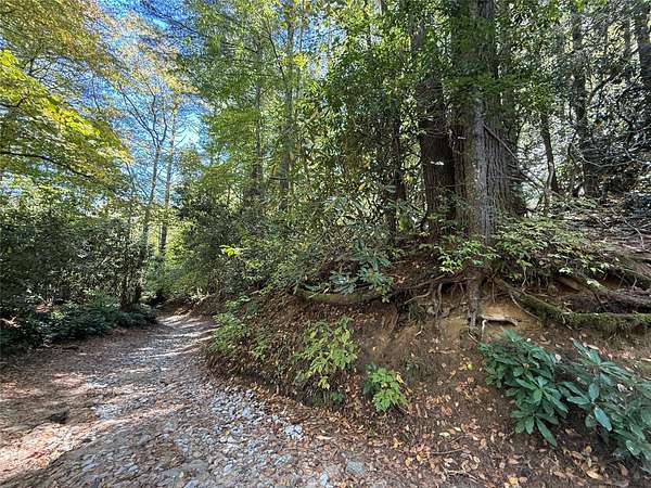 1.45 Acres of Land for Sale in Cashiers, North Carolina