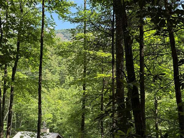 1.45 Acres of Residential Land for Sale in Cashiers, North Carolina