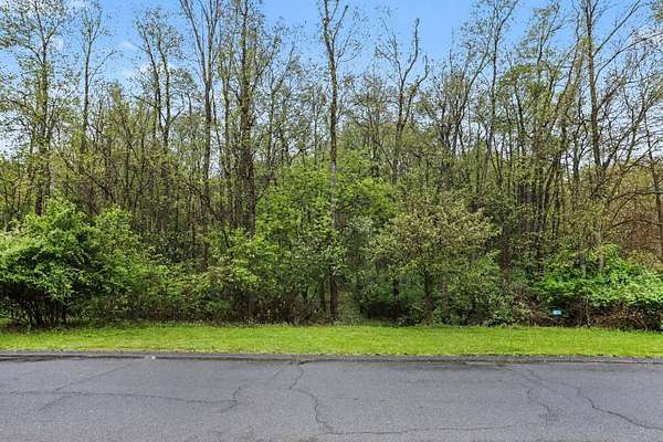 0.35 Acres of Residential Land for Sale in Richland, Michigan