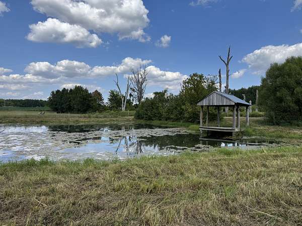 17 Acres of Agricultural Land for Sale in Cedar Hill, Tennessee