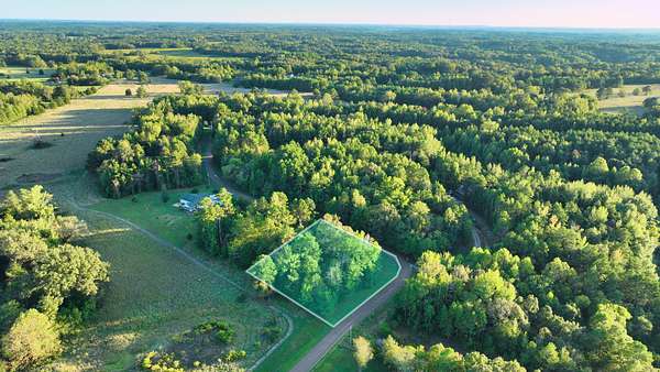2 Acres of Residential Land for Sale in Saulsbury, Tennessee