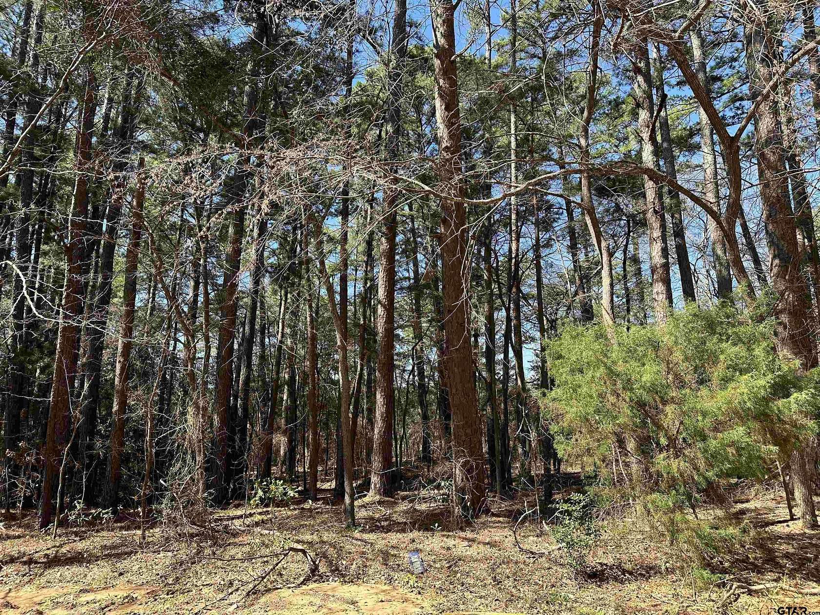 0.17 Acres of Residential Land for Sale in Bullard, Texas