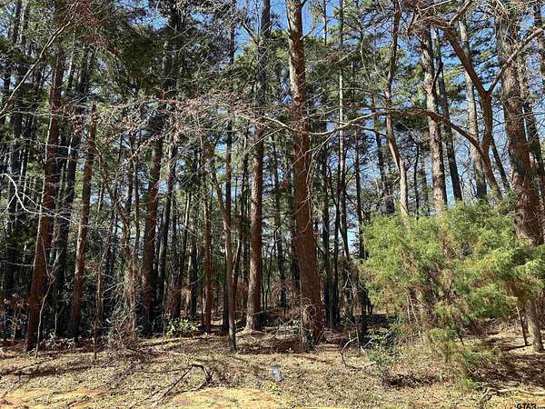 0.17 Acres of Residential Land for Sale in Bullard, Texas