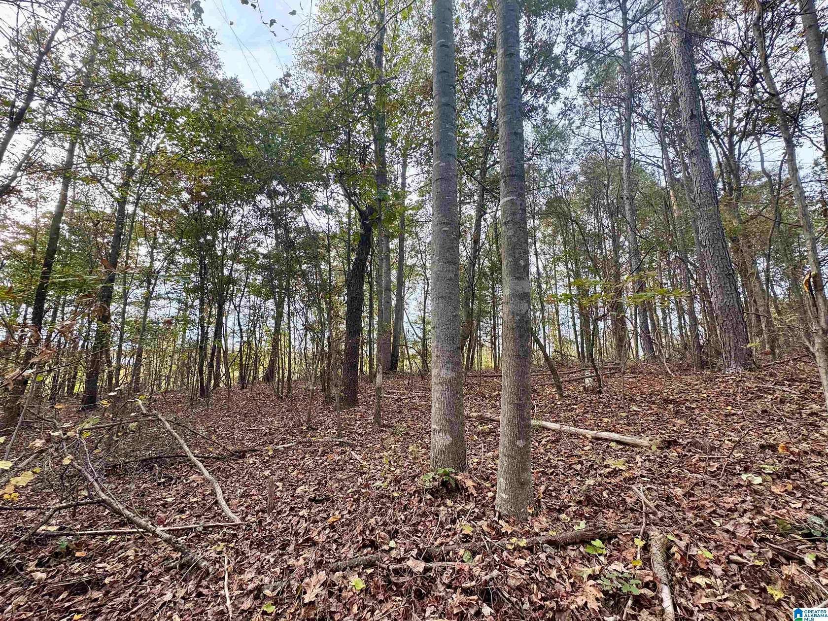 21 Acres of Land for Sale in Newell, Alabama