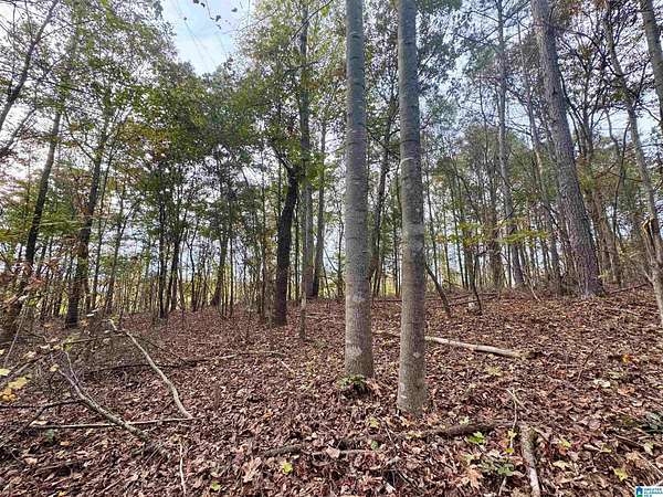 21 Acres of Land for Sale in Newell, Alabama