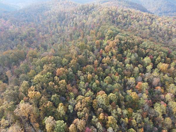 270 Acres of Recreational Land for Sale in Irvine, Kentucky