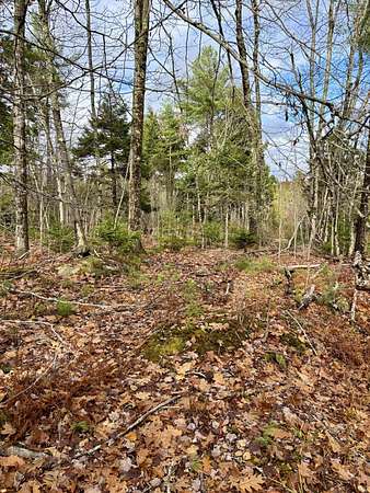 2 Acres of Residential Land for Sale in Bucksport, Maine