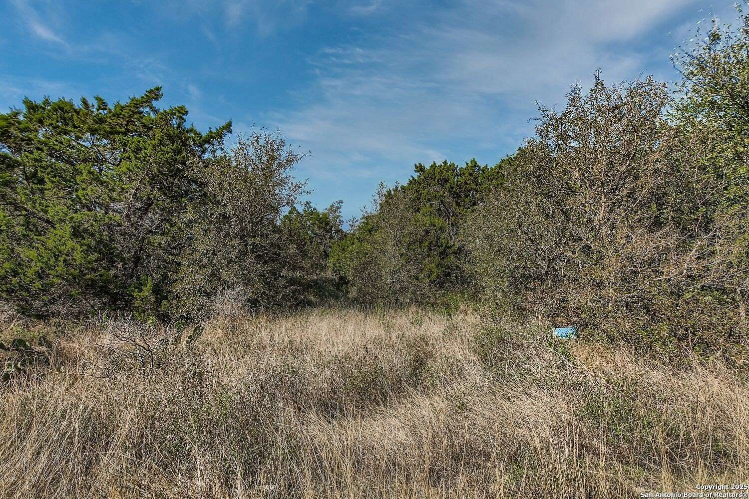 5 Acres of Residential Land for Sale in Mico, Texas