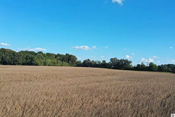 55 Acres of Agricultural Land for Auction in Wingo, Kentucky