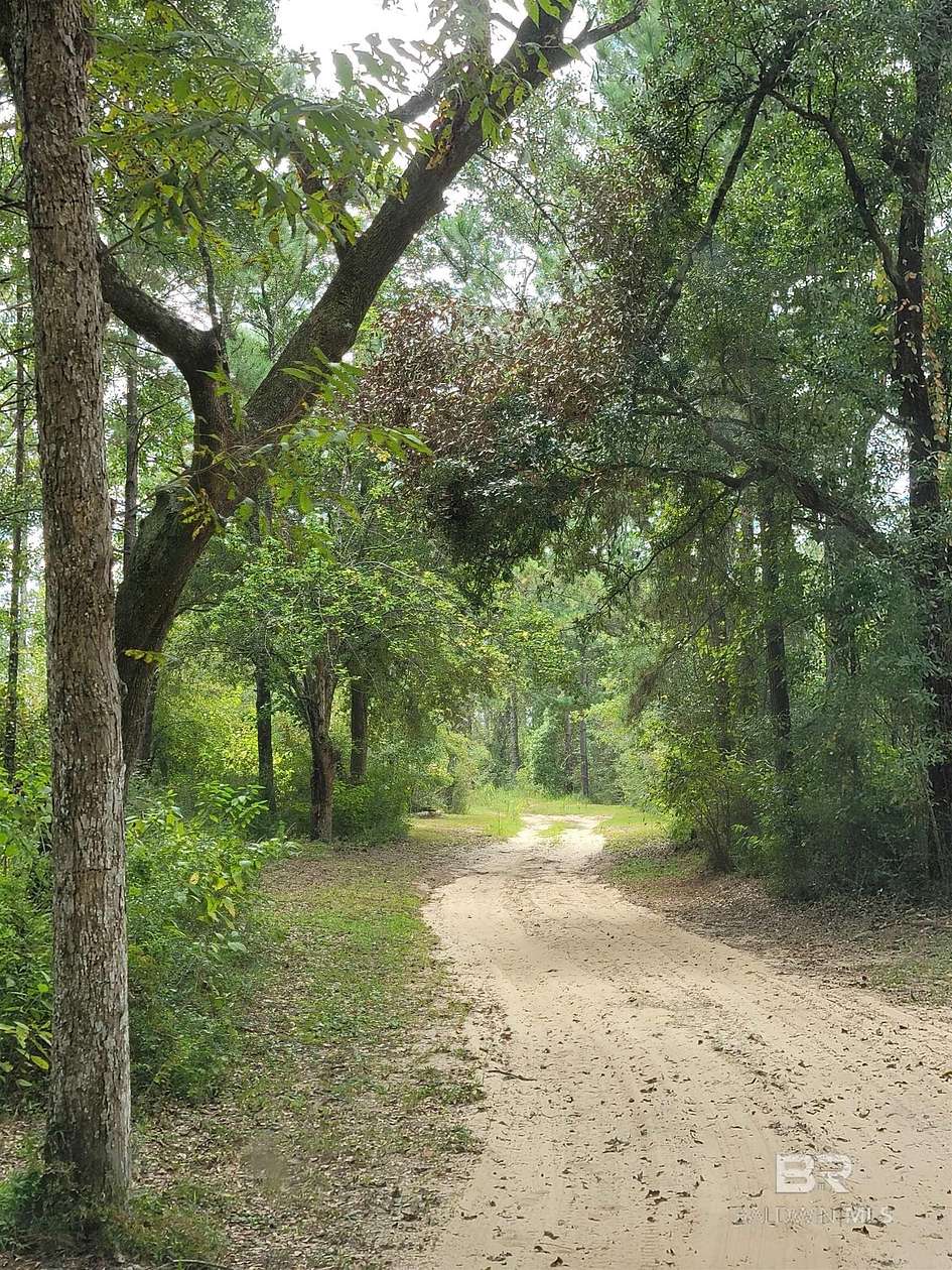 40.9 Acres of Recreational Land for Sale in Elberta, Alabama