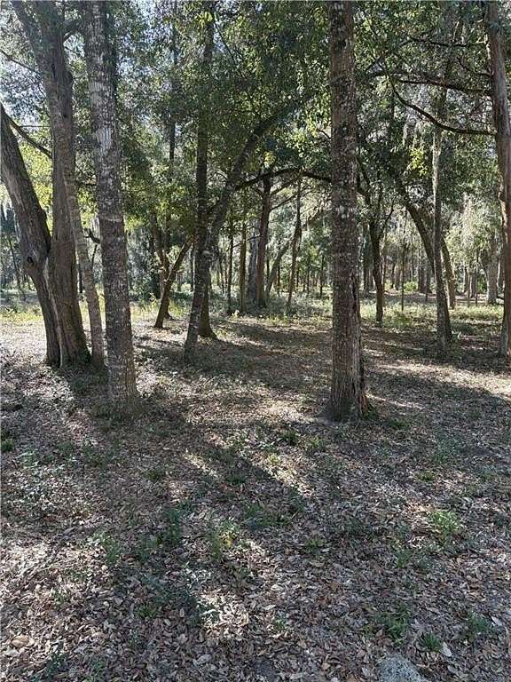 0.59 Acres of Residential Land for Sale in Brunswick, Georgia