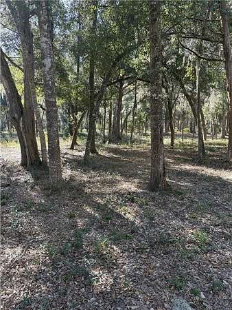 0.59 Acres of Residential Land for Sale in Brunswick, Georgia