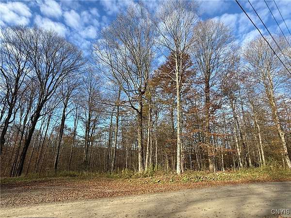 1 Acre of Residential Land for Sale in Truxton, New York