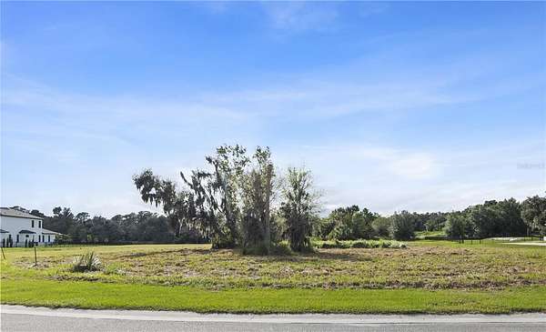 1 Acre of Residential Land for Sale in Lithia, Florida