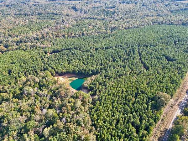 64 Acres of Recreational Land for Sale in Troy, Alabama