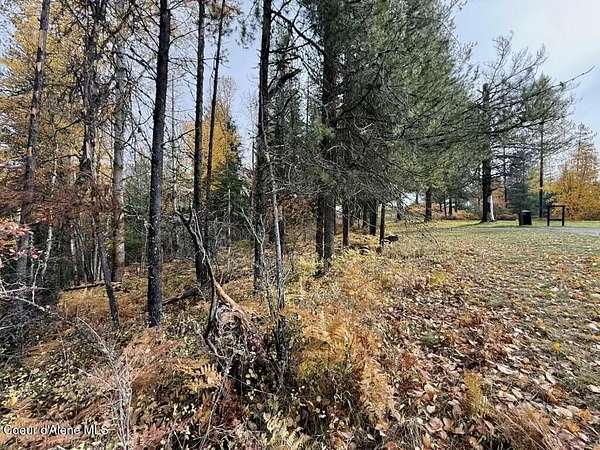 1 Acre of Land for Sale in Kellogg, Idaho