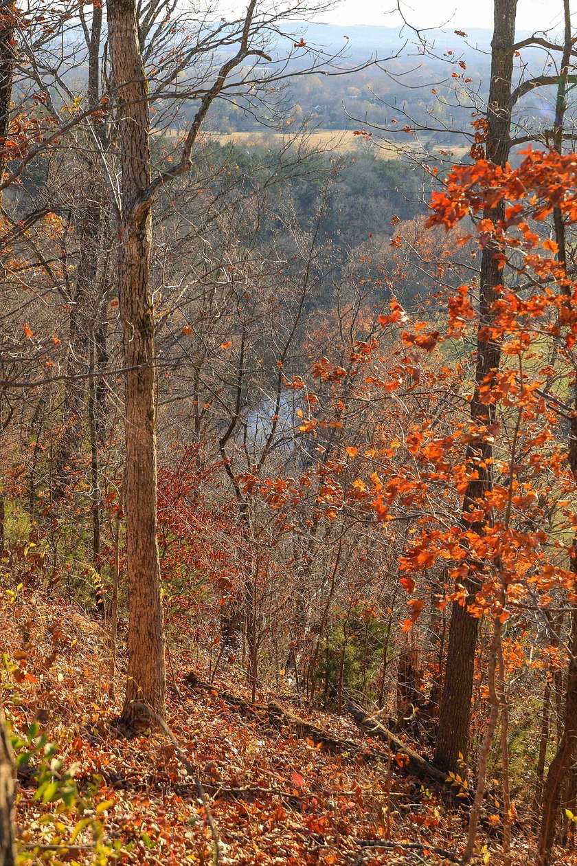 15.5 Acres of Land for Sale in Franklin, Tennessee