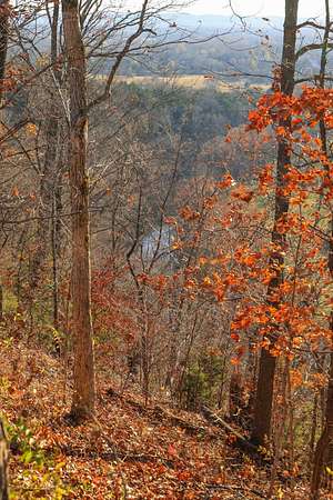 15.5 Acres of Land for Sale in Franklin, Tennessee