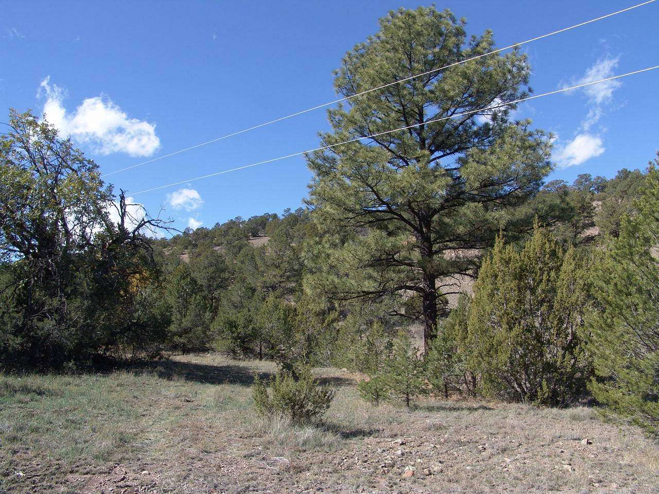 5.69 Acres of Residential Land for Sale in Datil, New Mexico