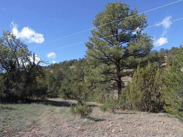 5.69 Acres of Residential Land for Sale in Datil, New Mexico
