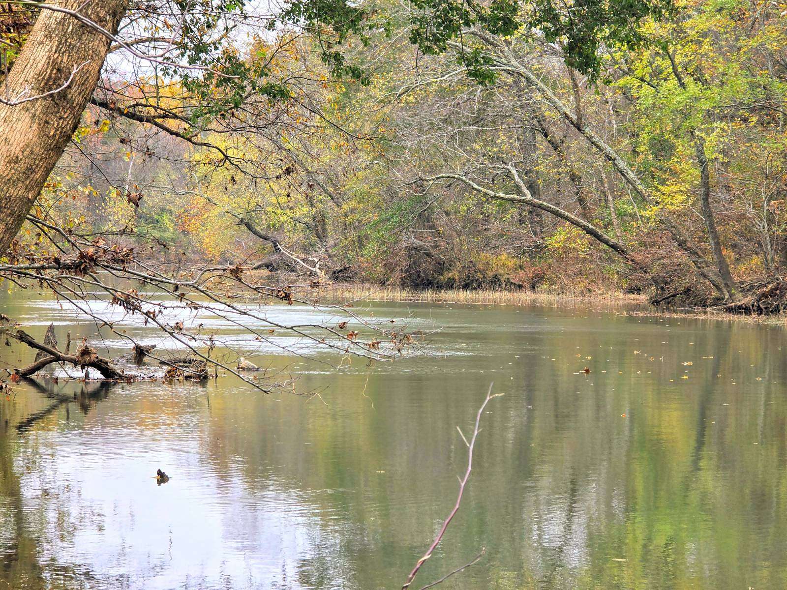 28 Acres of Recreational Land for Sale in Muse, Oklahoma